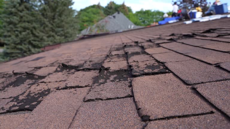 Best Skylight Installation and Repair  in Polk City, IA