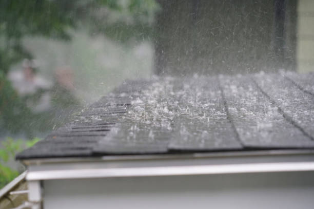 Best Flat Roofing  in Polk City, IA